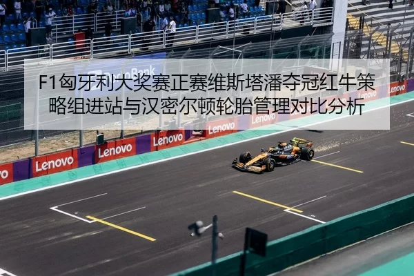 xiong-ya-li-da-jiang-sai-zheng-sai-wei-si-ta-pan-duo-guan-hong-niu-ce-lve-zu-jin-zhan-yu-han-mi-er-dun-lun-tai-guan-li-3-475.jpg